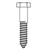 Hex Lag Screws